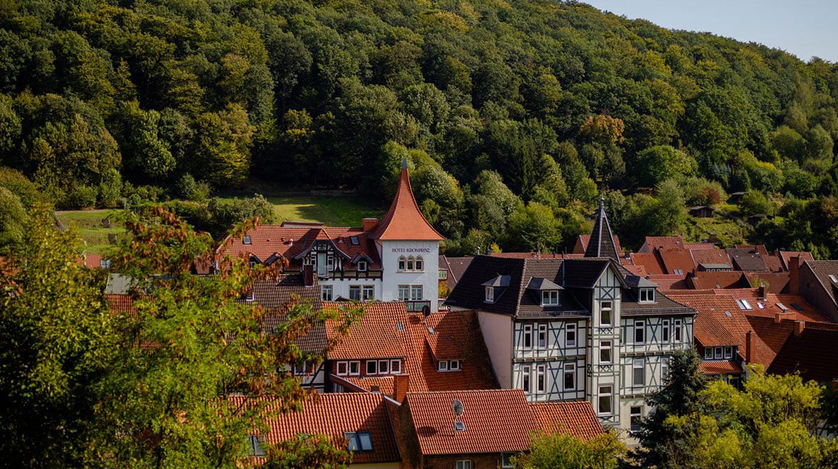 Studenten-WGs für Bad Salzdetfurth!